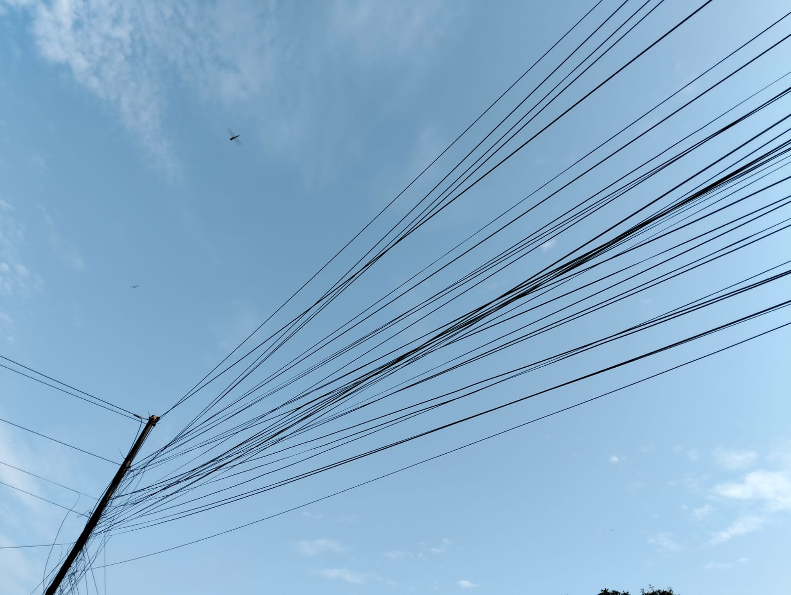 Kabel ISP (Wifi) di Desa Tajur Citeureup: Semrawut, Melanggar, dan Meresahkan!”